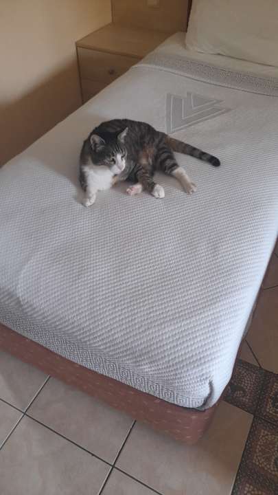 Sonstiges VONRESORT Golden Beach