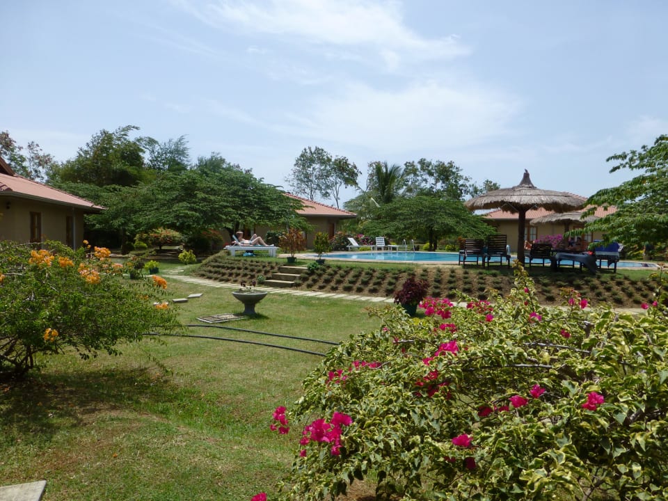 Sogar mit kleinem Pool Hibiscus Garden Hotel