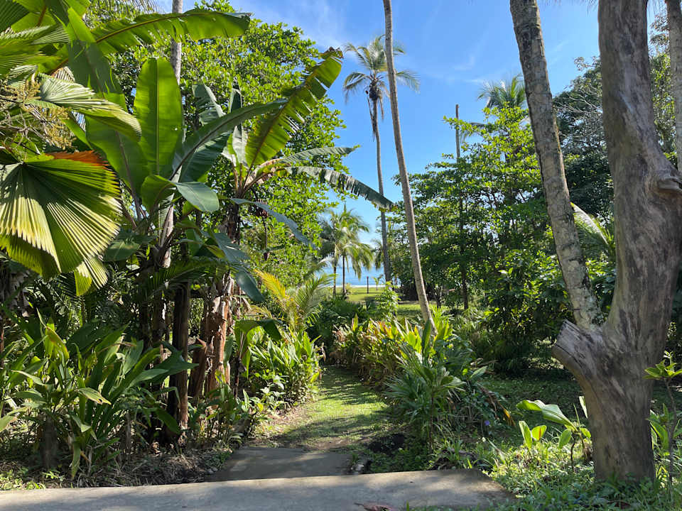 Strand Hotel Caribbean Coconut