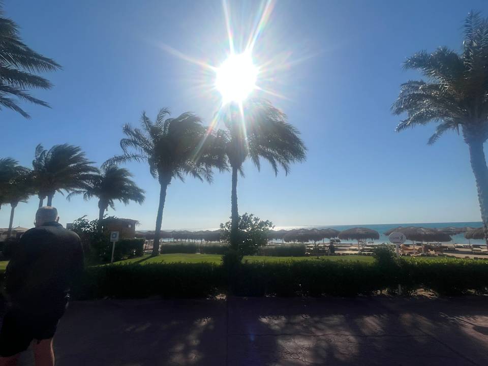 Gastro Sentido Caribbean World Soma Bay