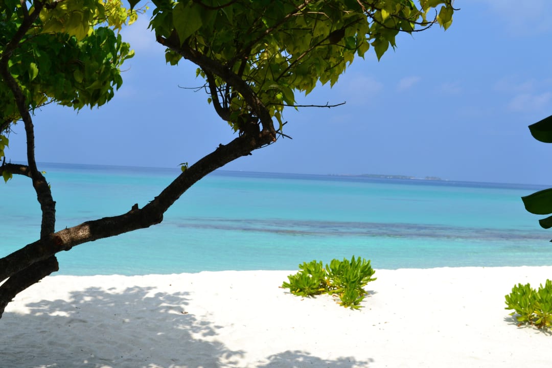 Schmacht Kuramathi Maldives