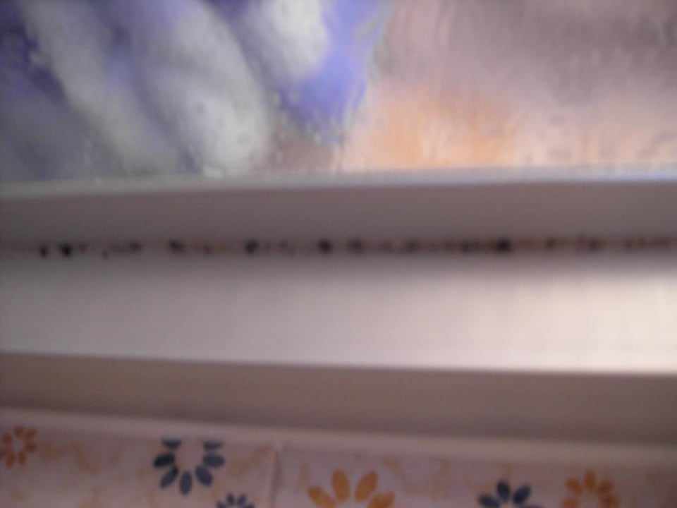 Verschimmelte Dusche Pension Carola