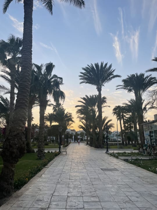 Gartenanlage The Grand Hotel Hurghada