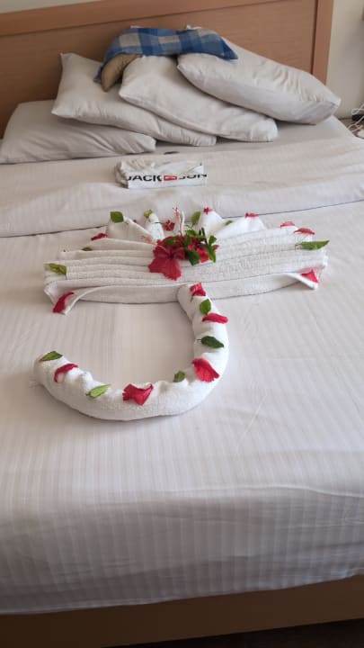 Zimmer Ghazala Gardens