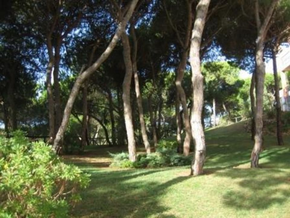 Pinienwald TUI BLUE Isla Cristina Palace