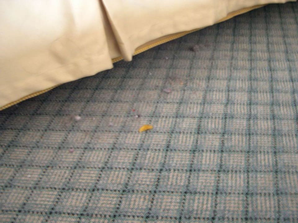 Abscheulicher Teppichboden Royal Benja Hotel