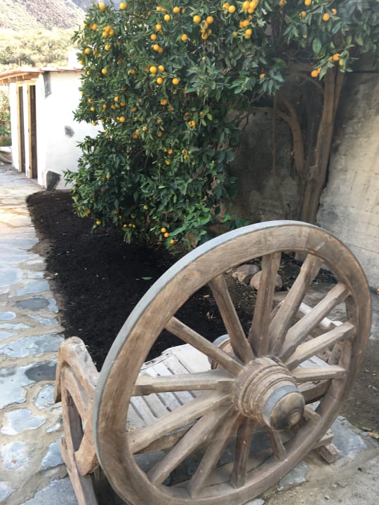 Sonstiges Bio Finca - Las Tenerías