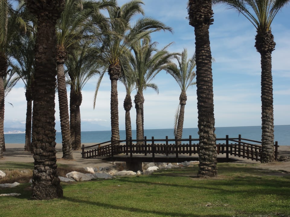 Strand Hotel Riu Costa del Sol