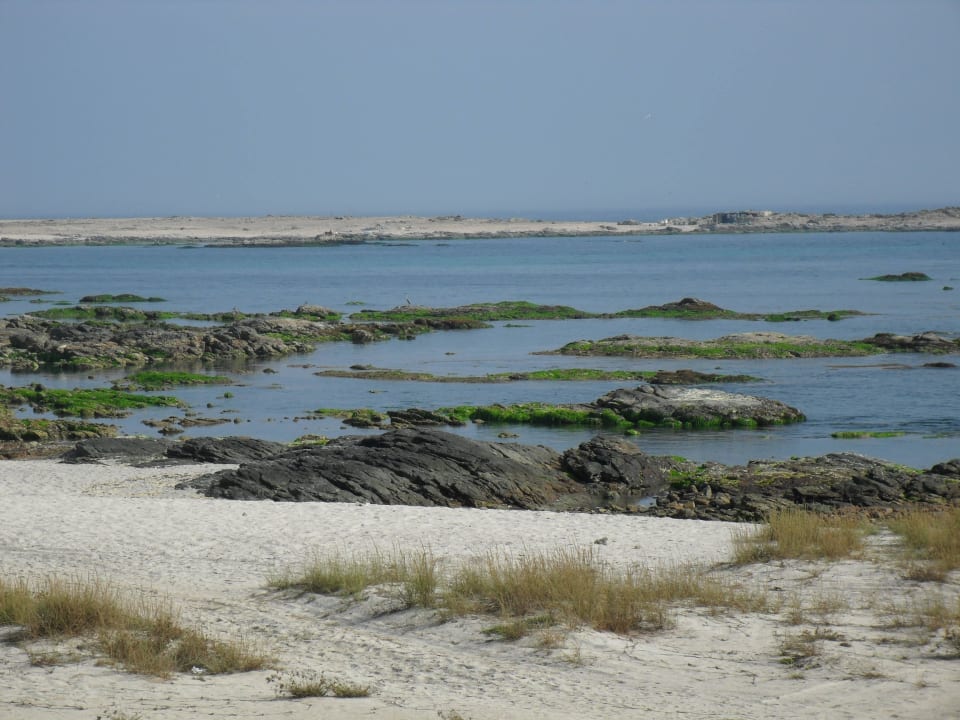 Traumstrand laut Sonnenklar Wyndham Garden Salalah Mirbat