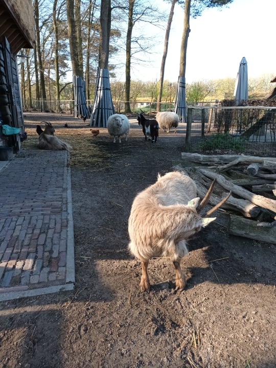 Gartenanlage Efteling Loonsche Land