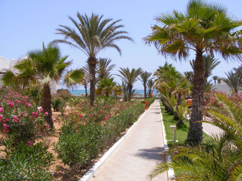 Weg zum Strand Hotel Seabel Aladin Djerba