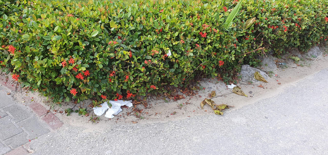 Gartenanlage Hotel Grand Palladium Palace Resort, Spa & Casino