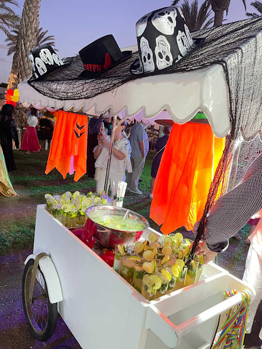 Gartenanlage TUI BLUE Pioneer Beach