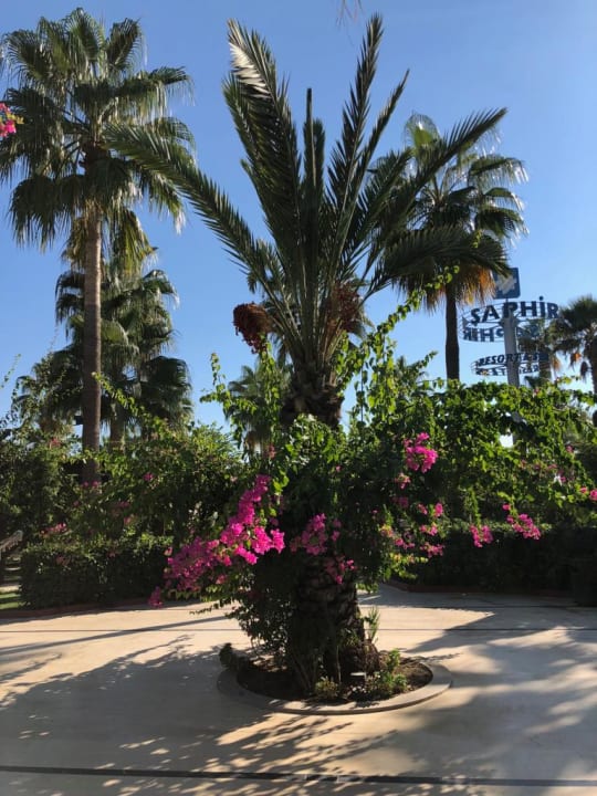 Gartenanlage Saphir Resort & Spa