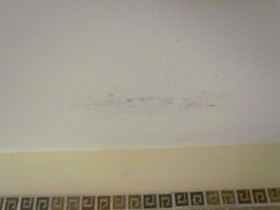 Schimmel  Ilunion Sancti Petri