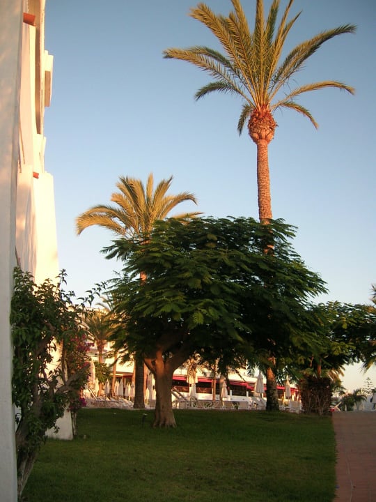 Hotel Sunprime Atlantic View Suites & Spa Sunprime Atlantic View