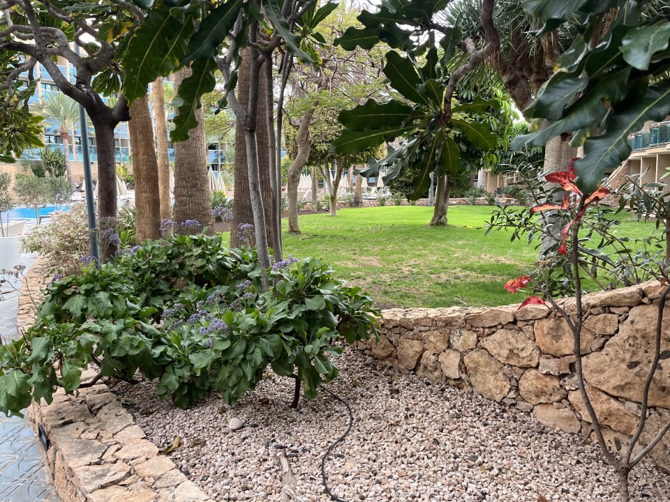 Gartenanlage MUR Hotel Faro Jandia & Spa Fuerteventura