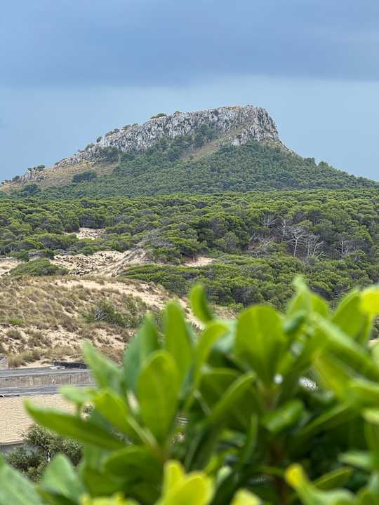 Ausblick VIVA Cala Mesquida Resort & Spa