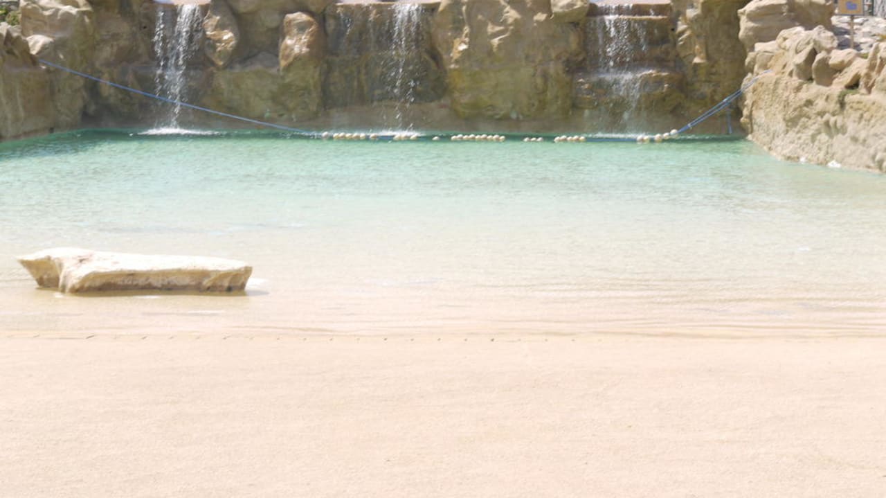 Wellenpool Akassia Swiss Resort