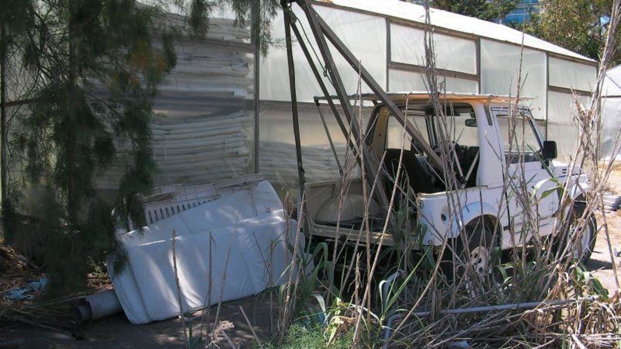 Gewächshäuser neben der Rasenliegefläche Hotel Calypso Beach