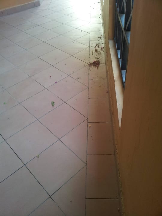 Flur Stella Beach Resort & Spa Makadi Bay