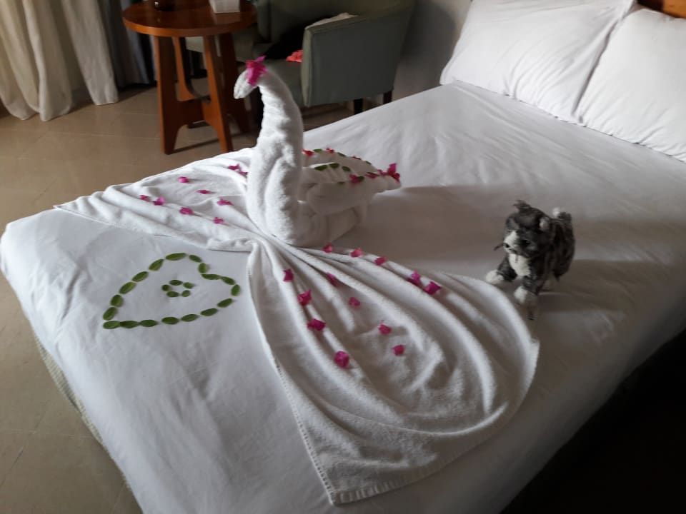 Zimmer Stella Garden Resort & Spa, Makadi Bay