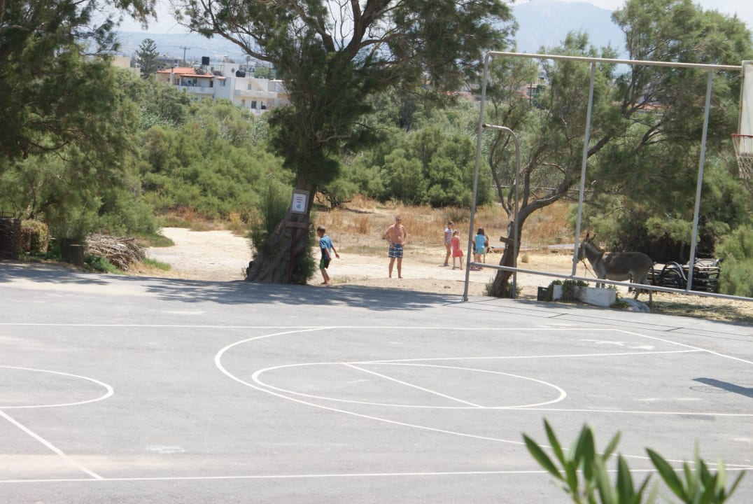 Basketballfeld Apollonia Beach Resort & Spa