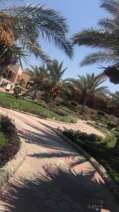 Gartenanlage Three Corners Sea Beach Resort