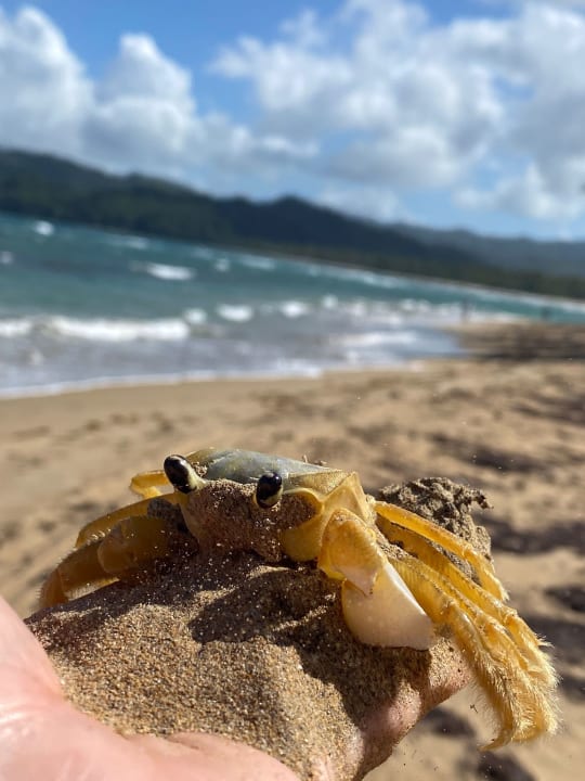 Strand Bahia Principe Grand El Portillo