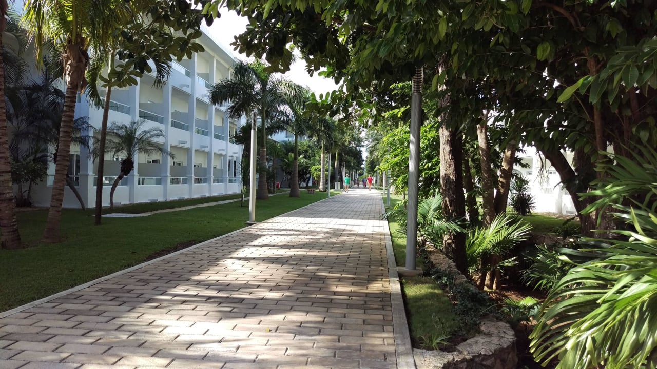 Hauptweg. Hotel Riu Playacar