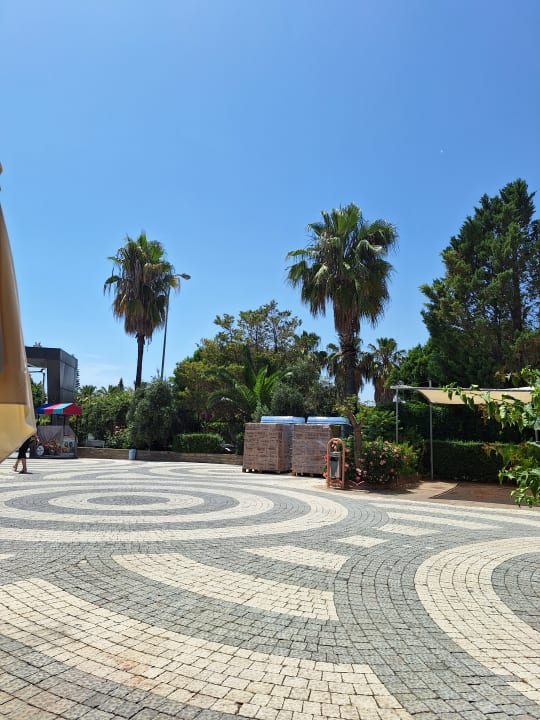 Lobby Hotel Orfeus Park