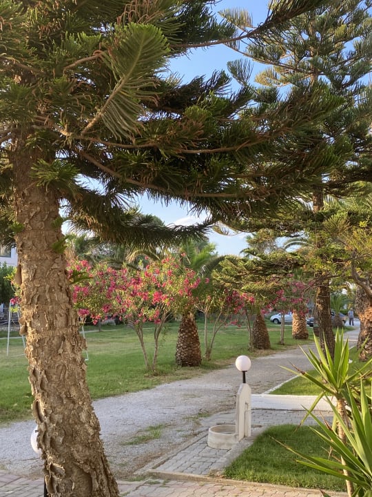 Gartenanlage HARPIN Happy Days Beach Hotel