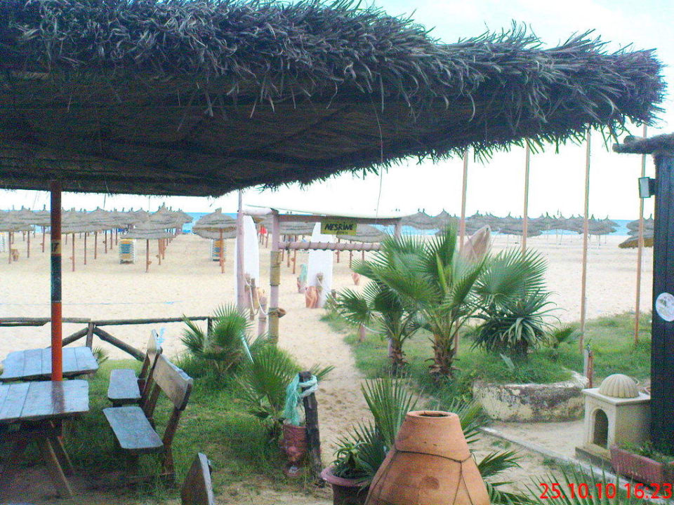 Hotelstrand Hotel Nesrine