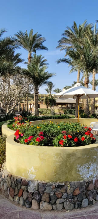 Gartenanlage Palm Beach Resort