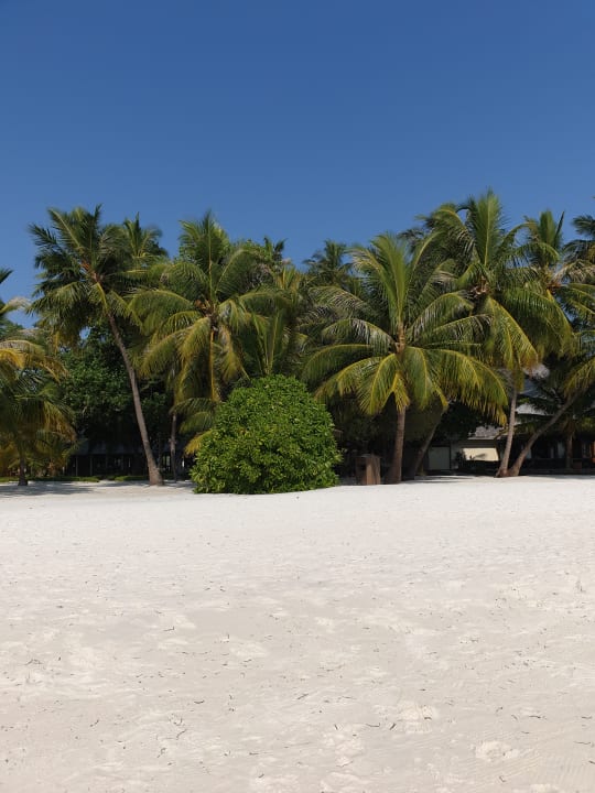 Strand Meeru Maldives Resort Island