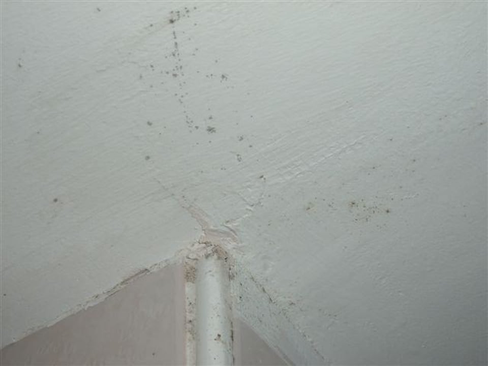 Schimmel Botanik Hotel & Resort