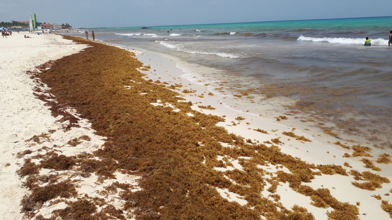 Strand Allegro Playacar