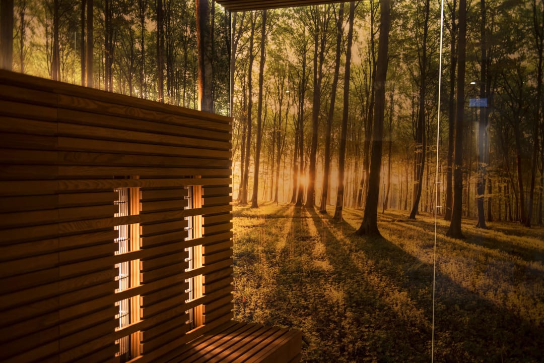 Infrarotkabine ULRICHSHOF Nature · Family · Design