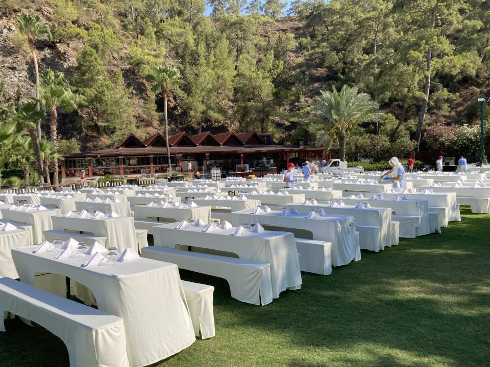 Gastro ROBINSON ÇAMYUVA