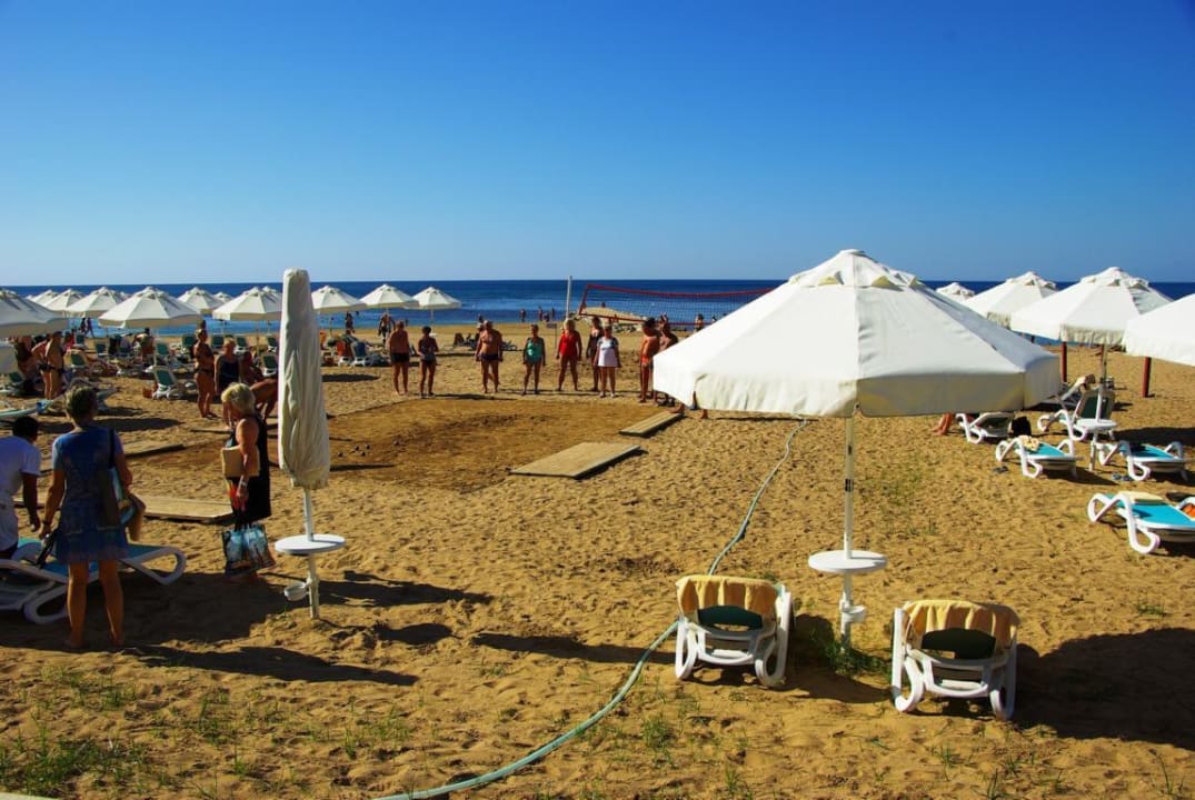 Am 25.10.2012 PALOMA Perissia