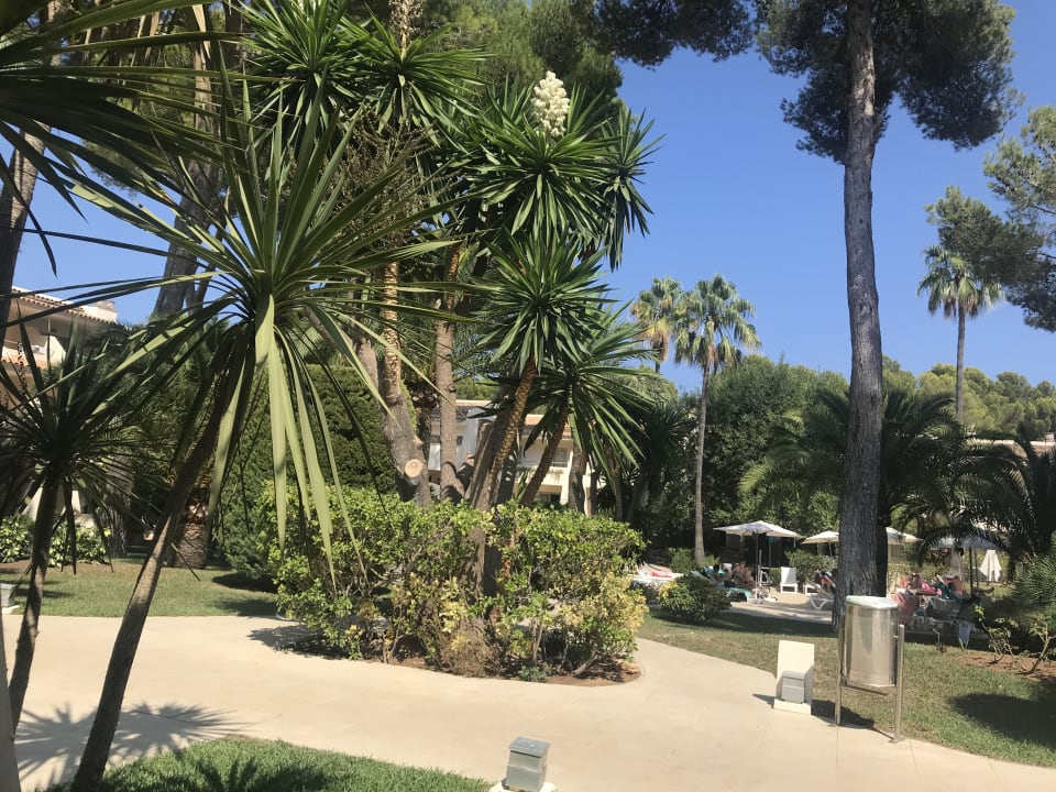 Gartenanlage Iberostar Waves Pinos Park