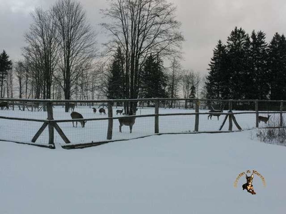Ausblick aus Zimmer 212 Hotel Harzhaus