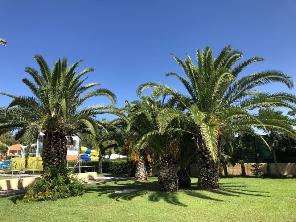 Gartenanlage TUI MAGIC LIFE Calabria