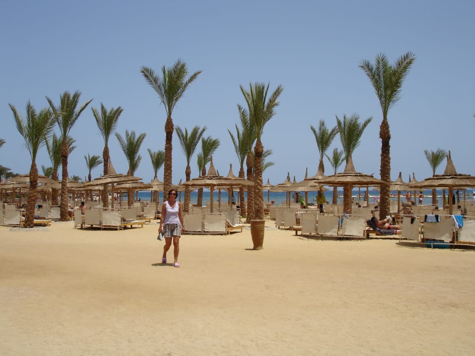 Sauberer Strand mit vielen Liegen Pickalbatros Palace Resort