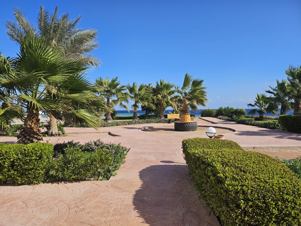 Gartenanlage Three Corners Equinox Beach Resort