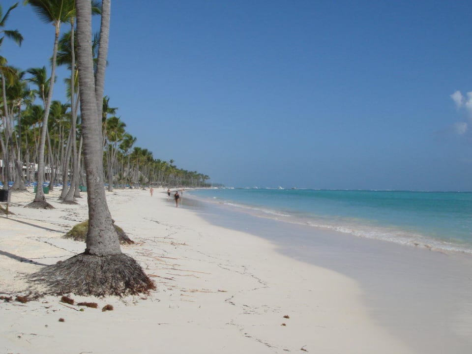 Traumhafter Hotelstrand Barceló Bávaro Palace