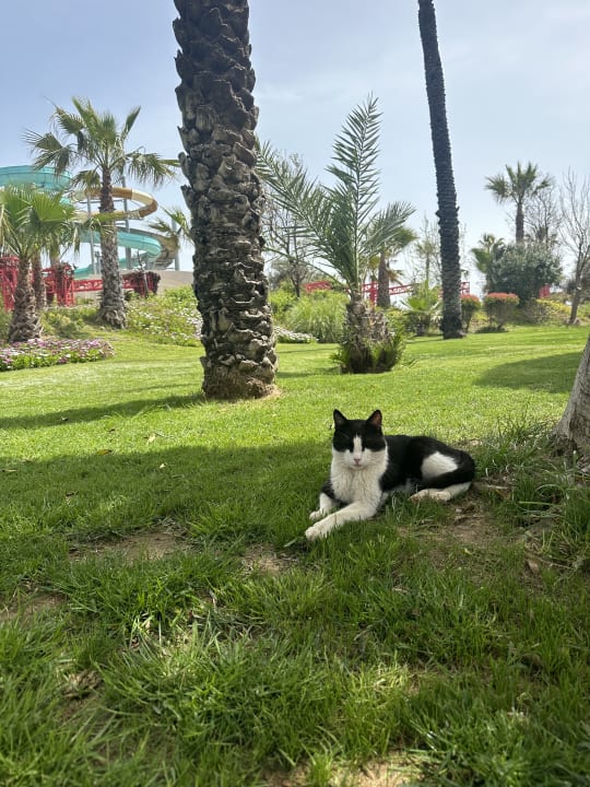 Gartenanlage Fame Residence Lara & Spa