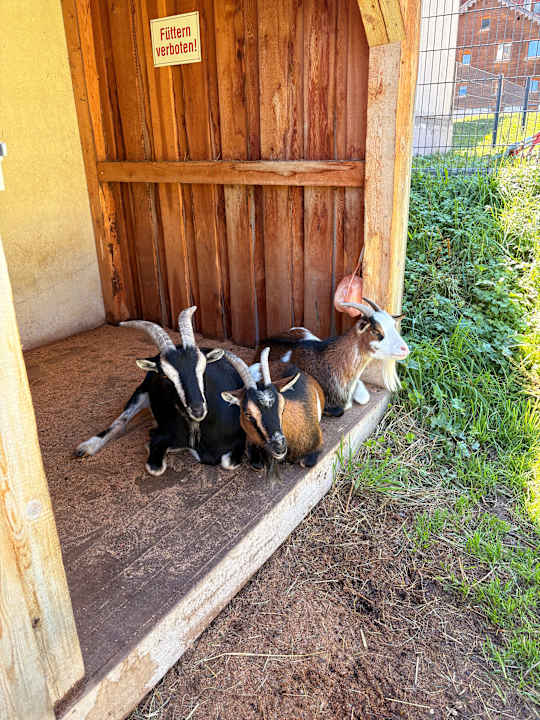Gartenanlage Alpenresidenz Ballunspitze