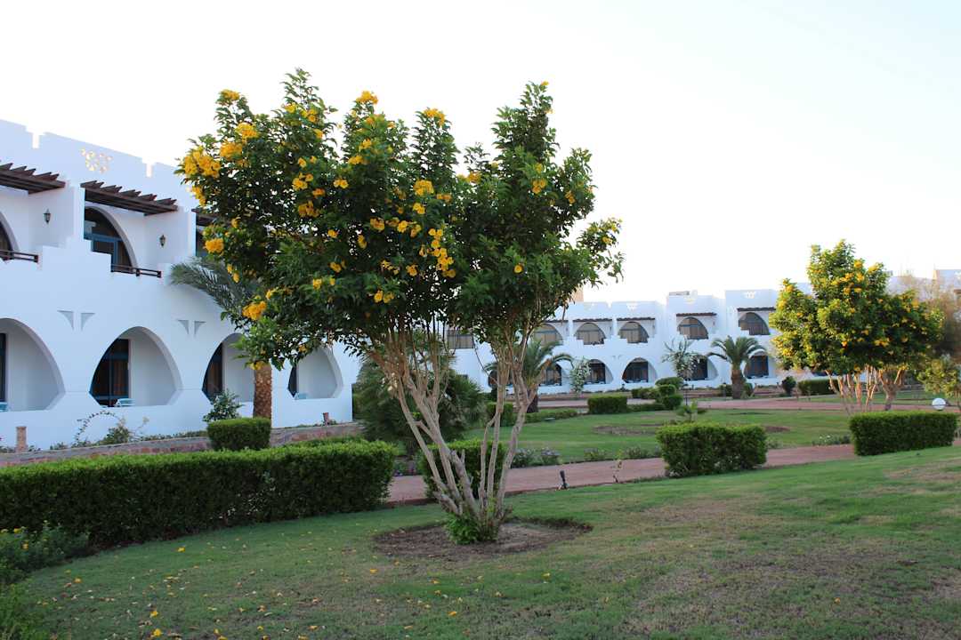 The Three Corners Equinox Beach Resort  Three Corners Equinox Beach Resort