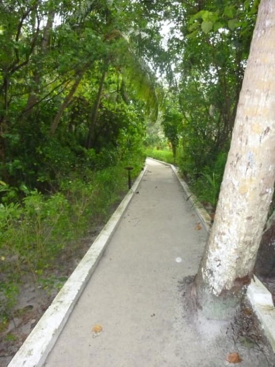 Rundweg Biyadhoo Island Resort